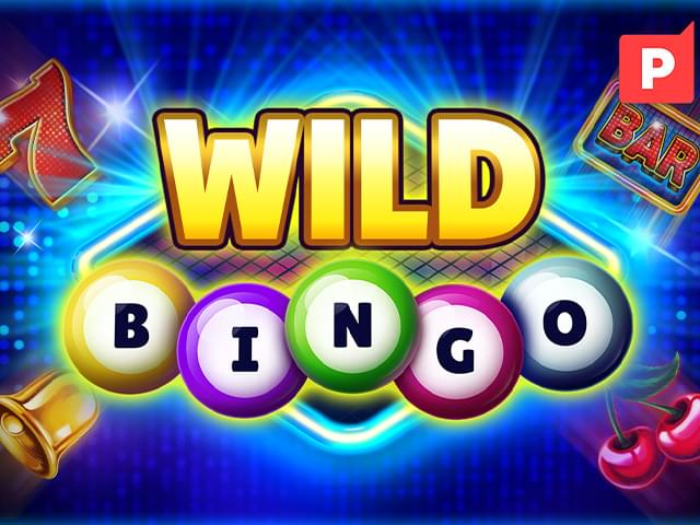kk8 bet Bingo Selvagem